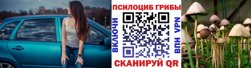 Псилоцибиновые грибы Psilocybe  Беслан 