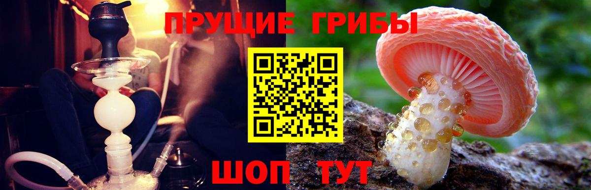 Псилоцибиновые грибы мухоморы Беслан